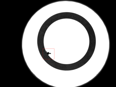 O-ring Optical Sorting