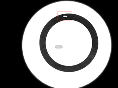 O-ring Optical Sorting