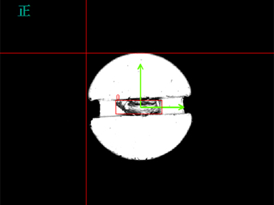 Screw Optical Sorting