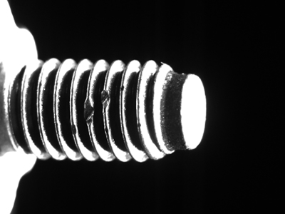 Screw Optical Sorting